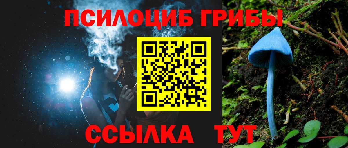 Кемерово  Псилоцибиновые грибы мухоморы  Галлюциногенные грибы прущие грибы  купить закладку  Вход с VPN 